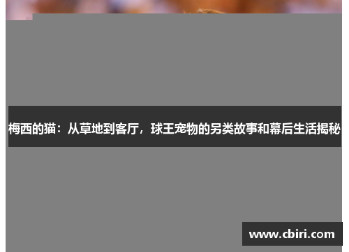 梅西的猫：从草地到客厅，球王宠物的另类故事和幕后生活揭秘