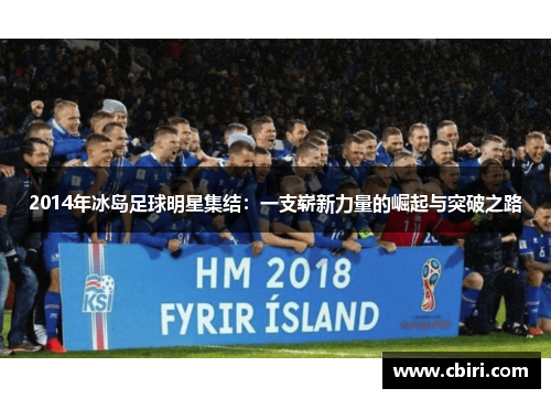2014年冰岛足球明星集结：一支崭新力量的崛起与突破之路